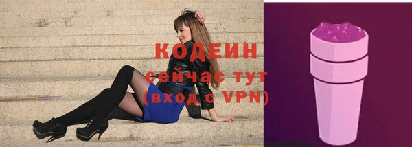 шишки Каменка