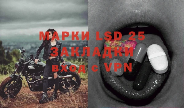 гашик Каменногорск