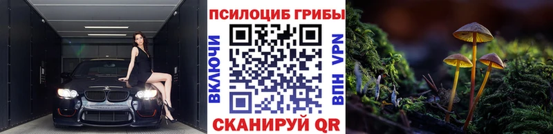 Псилоцибиновые грибы мухоморы Шенкурск