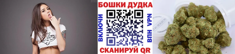 Бошки марихуана план  darknet как зайти  Шенкурск  как найти наркотики 